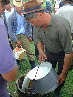 Pouring the milk
