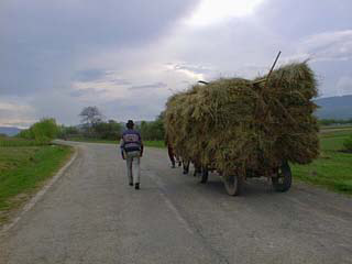 Hay moves on the road