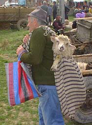 Lamb in a bag