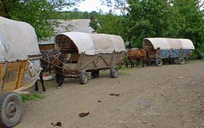 Gypsie Caravan